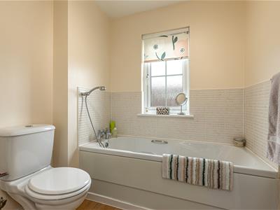 Picture 23